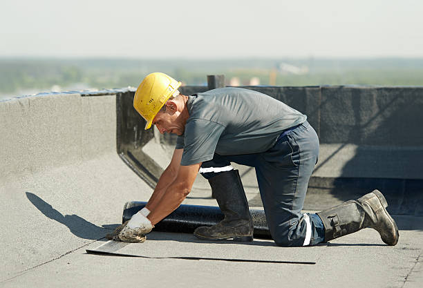 Best Geographic-Specific Insulation Services in Lincoln, NE