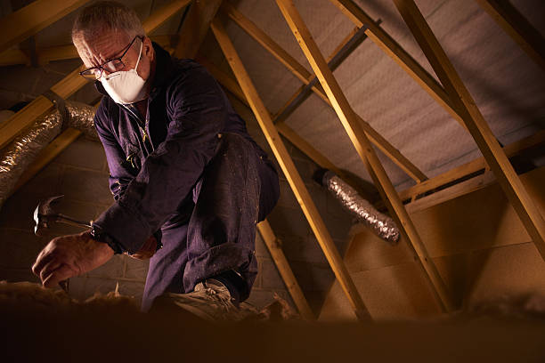 Professional Insulation Contractor in Lincoln, NE